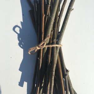 10 PCS Rowan sticks Rowan branches Rowan sticks Rowan Tree Rowan branches supply Shamanic wood