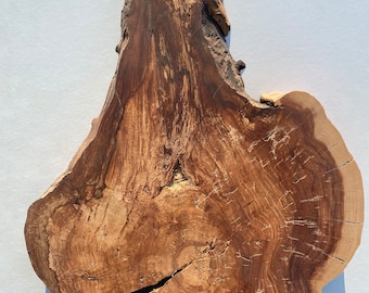Large apple wood slice | Wooden Slices | Rustic Wood Slices For DIY Apple Tree Slices  Large Wooden Slices Wood slices Tree slices