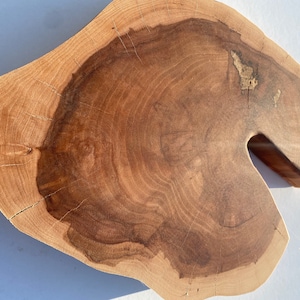 Rebanada de madera de manzano grande | Rebanadas de madera | Rebanadas de madera rústicas para bricolaje Rebanadas de manzano Rebanadas de madera grandes Rebanadas de madera Rebanadas de árbol