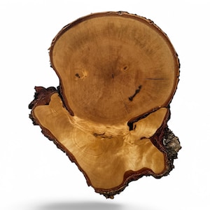 May include: A cross-section of a tree trunk, showing the rings and grain patterns of the wood. The bark is still attached to the edges of the wood, and the wood is a light brown colour.
