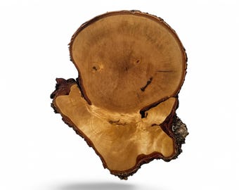 Rebanada única de ABEDUL grande de 12" | Soporte para pasteles | Rebanadas grandes | Decoración de pared de madera | Centro de mesa de boda de abedul | Soporte para pasteles grande Único