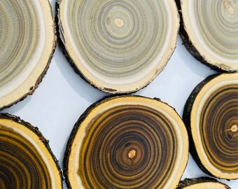 10 rebanadas discos círculos manualidades decoración del hogar decoración de mesa herramientas de cocina artesanía de madera madera roble