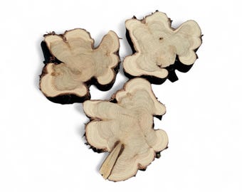 Rodajas de enebro mediano | Pequeñas rodajas de madera | Rodajas de madera rústicas para bricolaje | Rodajas de árbol de enebro | Discos de madera |  | Anillos de madera