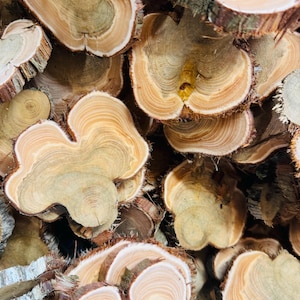May include: A pile of wood slices with natural brown and beige colours, showing the intricate grain patterns of the wood. The slices are arranged in a random pattern, creating a rustic and organic aesthetic.