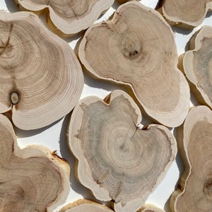 10 fette medie di ginepro | Piccole fette di legno | Fette di legno rustico per il fai da te | Fette di ginepro | Dischi di legno |  | Anelli di legno