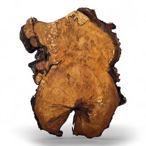 May include: A close-up of a large, irregularly shaped piece of wood with a brown and tan colour. The wood has a unique grain pattern and a dark brown centre.