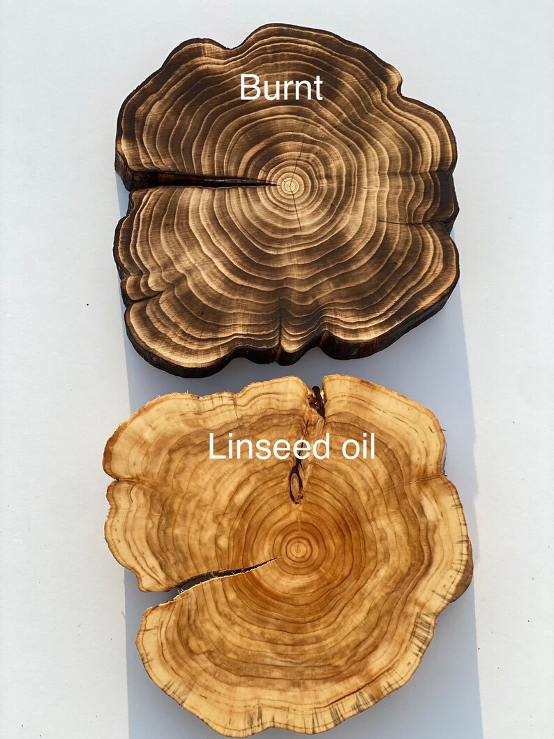 Puede incluir: Dos rodajas de madera, una con un acabado quemado y la otra acabada con aceite de linaza. La veta de la madera es visible en ambas rodajas.
