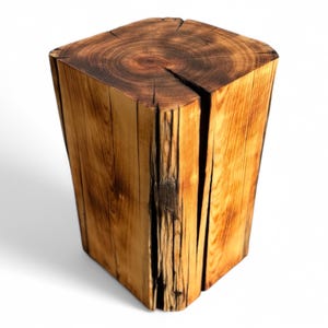 Baumstumpf-Beistelltisch, Baumstumpf, Altholz, Baumstumpf, Holzmöbel, Moderne Holzmöbel, Gebrannter Baumstamm