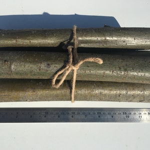 Large 4 PCS Rowan logs Rowan rowan branches supply Shamanic wood