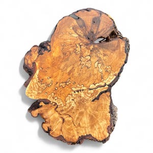 May include: A distinctive, oddly shaped wooden slab with a natural edge. The wood displays a warm, golden-brown hue with complex grain patterns and darker brown accents. The slab has a hole near the top and a dark, textured bark edge.