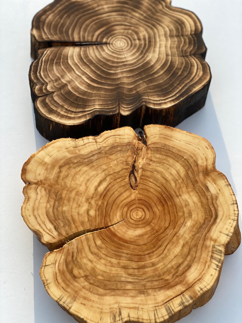 Puede incluir: Dos rebanadas de madera con patrones naturales de veta de madera. La rebanada superior es de color marr&oacute;n oscuro con un acabado quemado. La rebanada inferior es de color marr&oacute;n claro con un acabado de madera natural.
