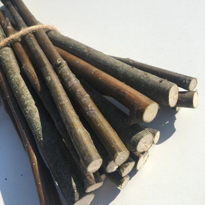 20 PCS  Rowan sticks Rowan branches Rowan sticks Rowan Tree Rowan tree Rowan branches supply Shamanic wood