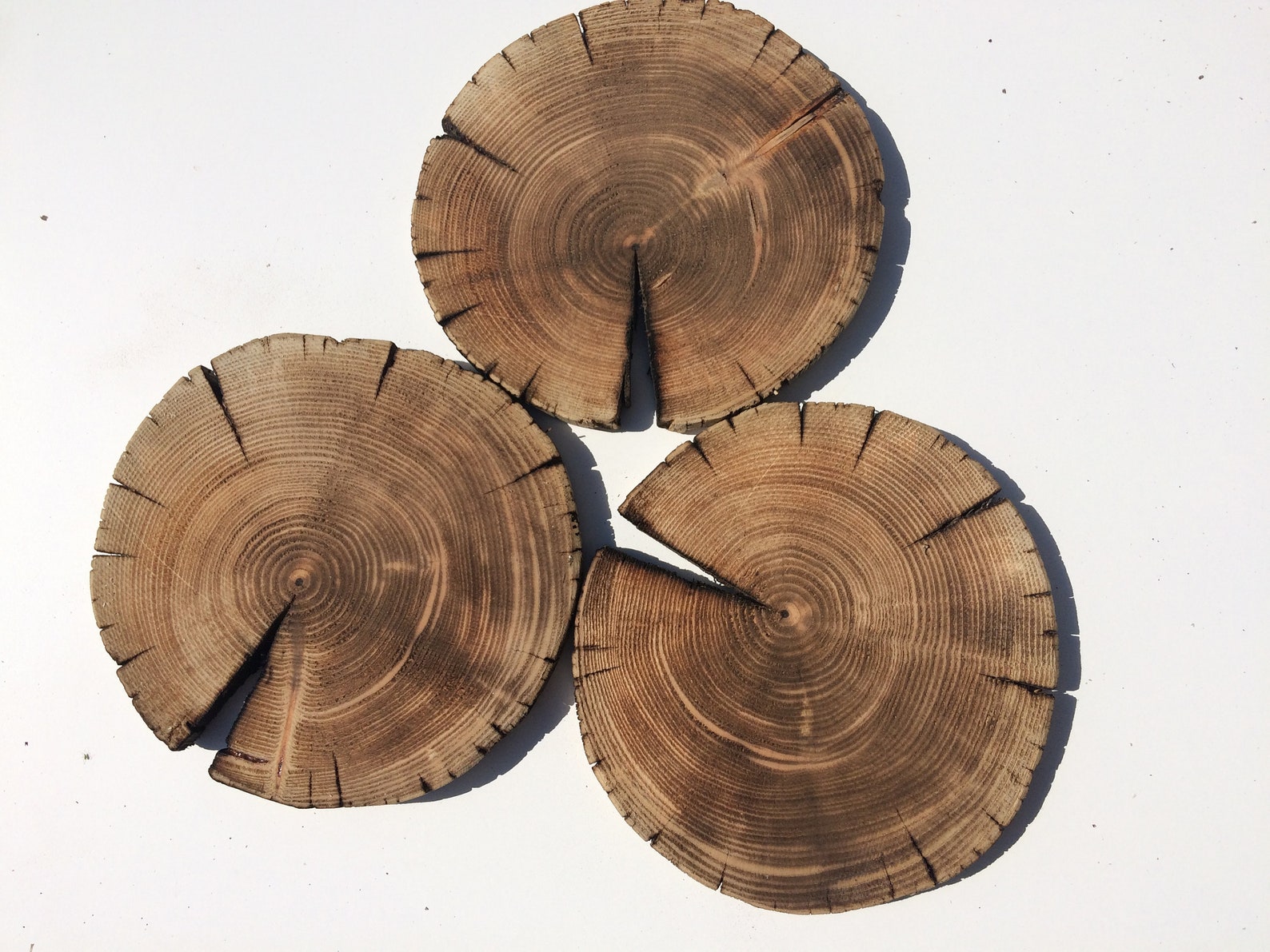 3 PCS Burnt Discs Burnt Wood Pine Discs Burnt Tree Etsy