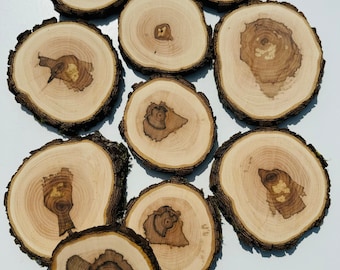 10 PCS | Hawthorn Wood | Wooden Circles | Wooden Slices | Rustic Wood Slices For DIY | Apple Tree Slices | Wood Discs For Craft|