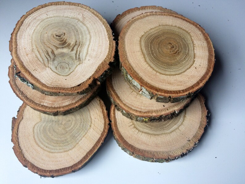 5'' Oak Slices Oak Discs Oak Circles Crafts Home Decorations Table Decoration Kitchen Tools Wooden Handmade Oak Natural image 3