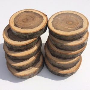 10 PCS |  European Ash  Tree | Wooden Slices | Rustic Wood Slices For DIY | Rowan Tree Slices | Wood Discs For Craft | Rowan Tree Discs |