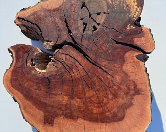 1 pieza de círculos de madera, rodajas de madera, piezas de madera rústica para bricolaje, fresno, discos de madera para manualidades