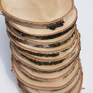 Set of 5 13&quot; - 14&quot; Large Slices Rustic Slice | Rustic Wood Slices For DIY | Birch Tree | Birch Wooden Discs | Wedding Decoration | Weddings