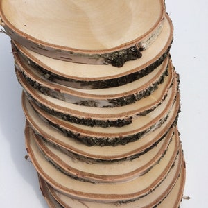 Set of 10 PCS 8'' - 9'' Large Slices Wood Slices Rustic Wood Slices For DIY Birch Tree Birch Wooden Discs | Wedding Decoration Wood slice