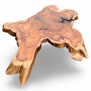 PREMIUM QUALITY UNIQUE wood slice 49 inch in diameter elm slices Elm elm Circles Wooden slices Tree slices wood slices Rustic wood pieces