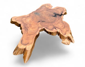 1 pieza grande de madera maciza de olmo Rodajas de olmo Olmo Círculos de olmo Rodajas de madera Rodajas de madera Rodajas de madera Rústico