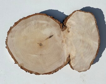 1 Círculos de Madera, Rebanadas de Madera, Piezas de Madera Rústica para Bricolaje, Fresno, Discos de Madera para Manualidades