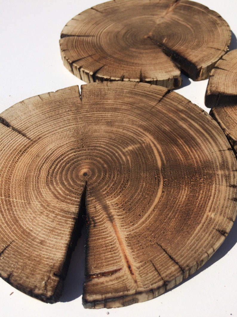 3 PCS Burnt Discs Burnt Wood Pine Discs Burnt Tree Etsy