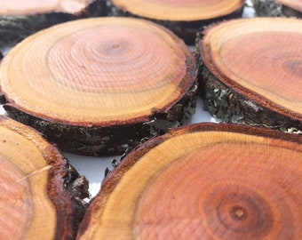 Set of 10 slices 2'' - 3'' in diameter | Wooden Slices | Rustic Wood Slices For DIY | Plum Tree Slices | Wood Discs For Craft