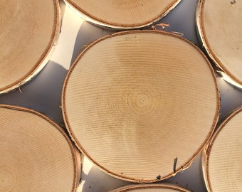 5 PCS |  5'' - 6'' Inches | Wooden Circles | Wooden Slices | Rustic Wood Slices | Birch Tree | Birch Wooden Discs | Rustic Wedding Decors