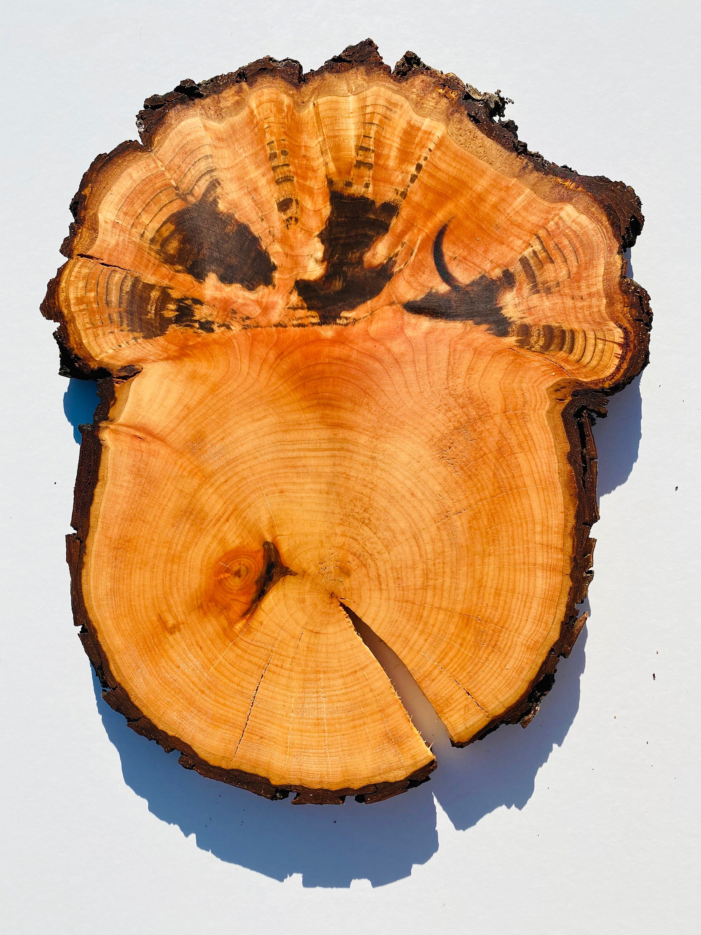 Círculos de madera de 1 pieza rodajas de madera piezas | Etsy