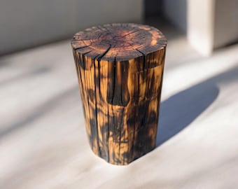 Mesa auxiliar de tocón de árbol Tocón de árbol Madera recuperada Muebles de troncos Muebles de madera modernos Tronco quemado