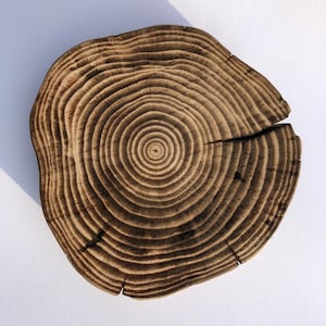 1 PCS wood slice | Wooden slices | Table decorations | Burnt wood slices | Burnt Wooden Slices | Unique wood slice  | Burnt wood