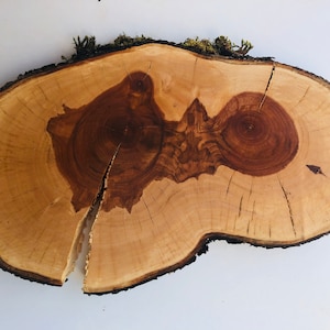 May include: A natural wood slice with a unique grain pattern and a dark brown center. The wood slice has a rough, natural edge and is perfect for crafting or decorating.