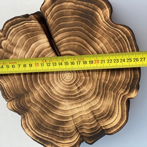 Puede incluir: Un primer plano de una rodaja de madera con un di&aacute;metro de 50,8 cm. La madera es de color marr&oacute;n oscuro y muestra el patr&oacute;n de veta natural. La rodaja se mide con una cinta m&eacute;trica amarilla.