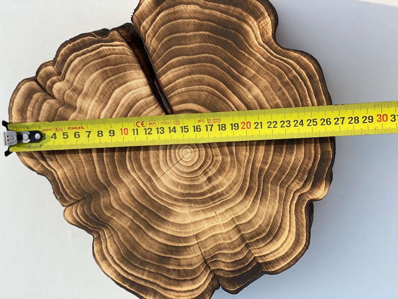 Puede incluir: Un primer plano de una rodaja de madera con un di&aacute;metro de 50,8 cm. La madera es de color marr&oacute;n oscuro y muestra el patr&oacute;n de veta natural. La rodaja se mide con una cinta m&eacute;trica amarilla.