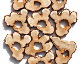 10 Large 5 inch juniper tree slices | Large wooden slices | Rustic Wood Slices For DIY | Juniper Tree Slices | Wood Discs |  | Wooden Rings