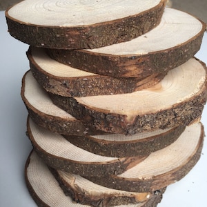 10 PCS |  Fir Tree Slices |Wooden Circles | Wooden Discs | Wooden Slices | Rustic Wood Slices For DIY | Larch Tree | Wood Discs For Craft|