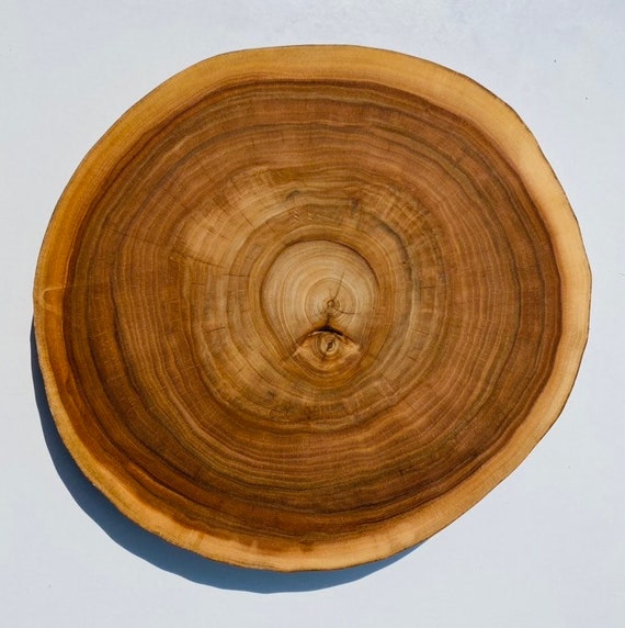 12-inch wood slice