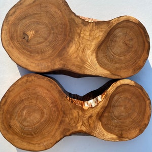 2 Large solid elm wood slice 18 inch elm slices Elm elm Circles Wooden slices Tree slices wood slices Coffee table top Wooden slices