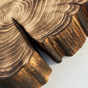 Puede incluir: Un primer plano de una rebanada de madera con un patr&oacute;n de veta de madera natural. La madera ha sido quemada y tiene un color marr&oacute;n oscuro con un brillo dorado. La rebanada tiene una forma irregular y una textura rugosa.