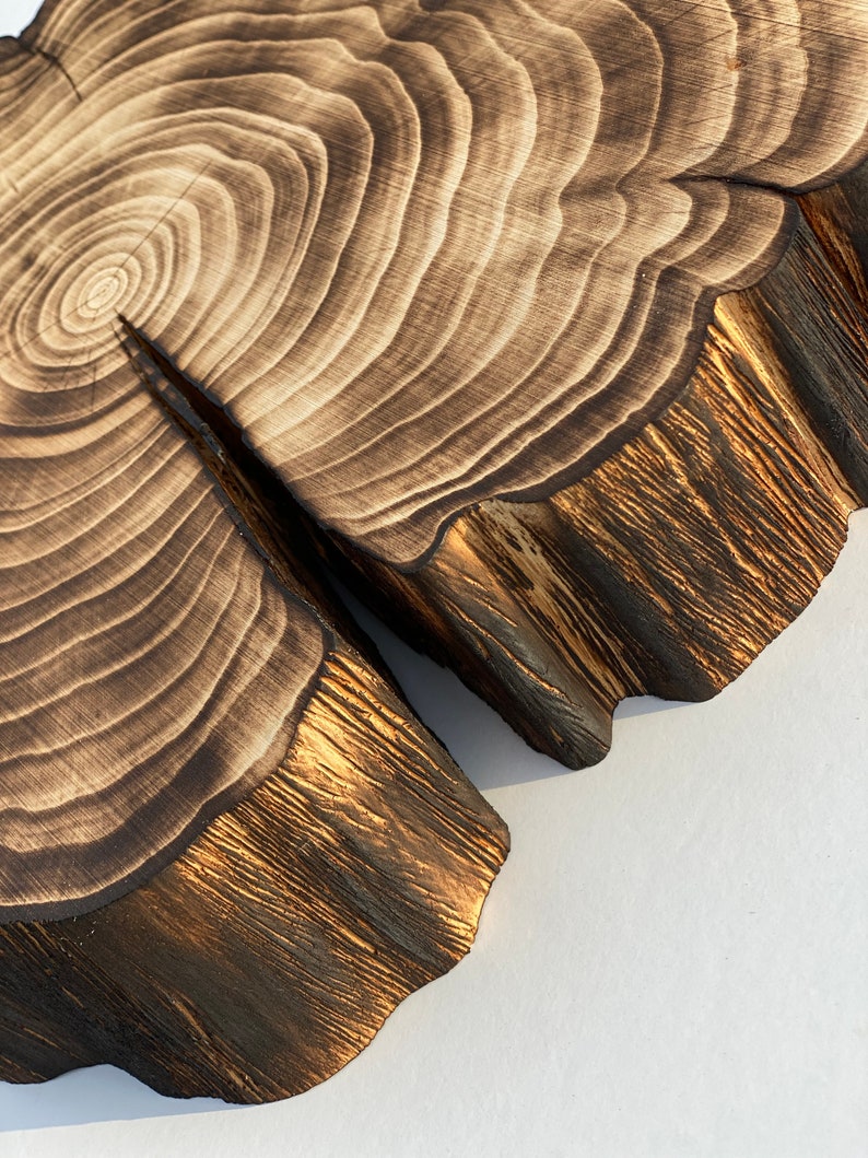 Puede incluir: Un primer plano de una rebanada de madera con un patr&oacute;n de veta de madera natural. La madera ha sido quemada y tiene un color marr&oacute;n oscuro con un brillo dorado. La rebanada tiene una forma irregular y una textura rugosa.