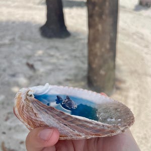 Może przedstawiać: Ozdobna muszla z miniaturową rzeźbą delfina w niebieskiej żywicy. Muszla trzymana jest w dłoni. Tło przedstawia piaszczystą plażę i drzewa.