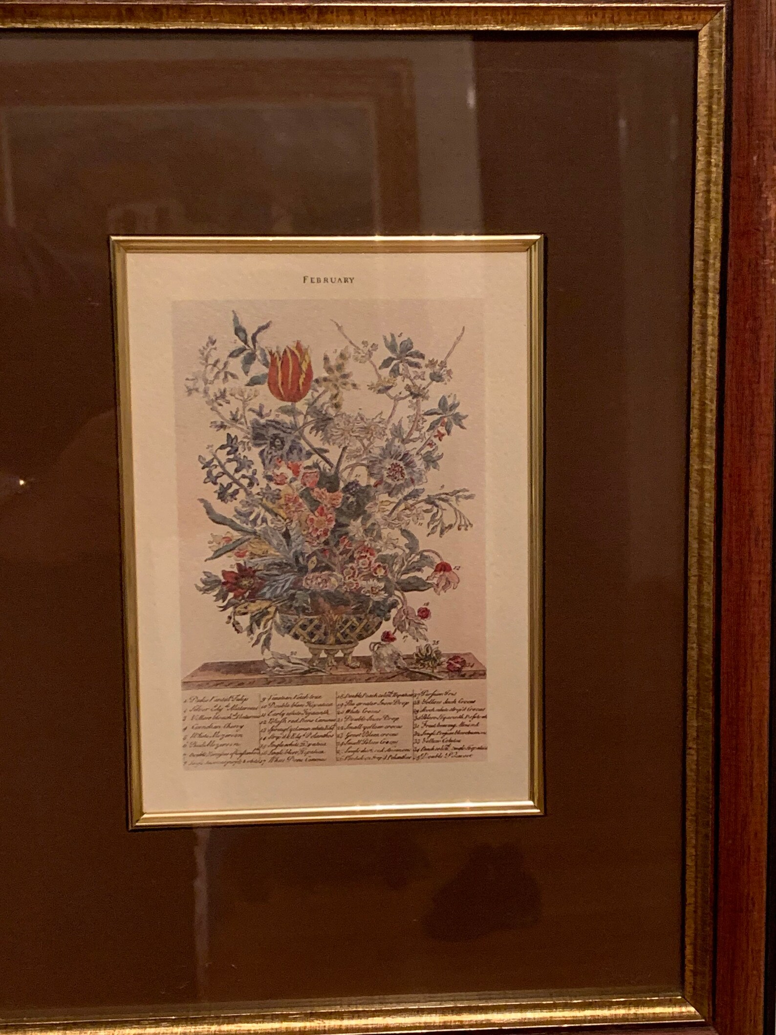 2 Two Windsor Art Products Flowers of the Etsy