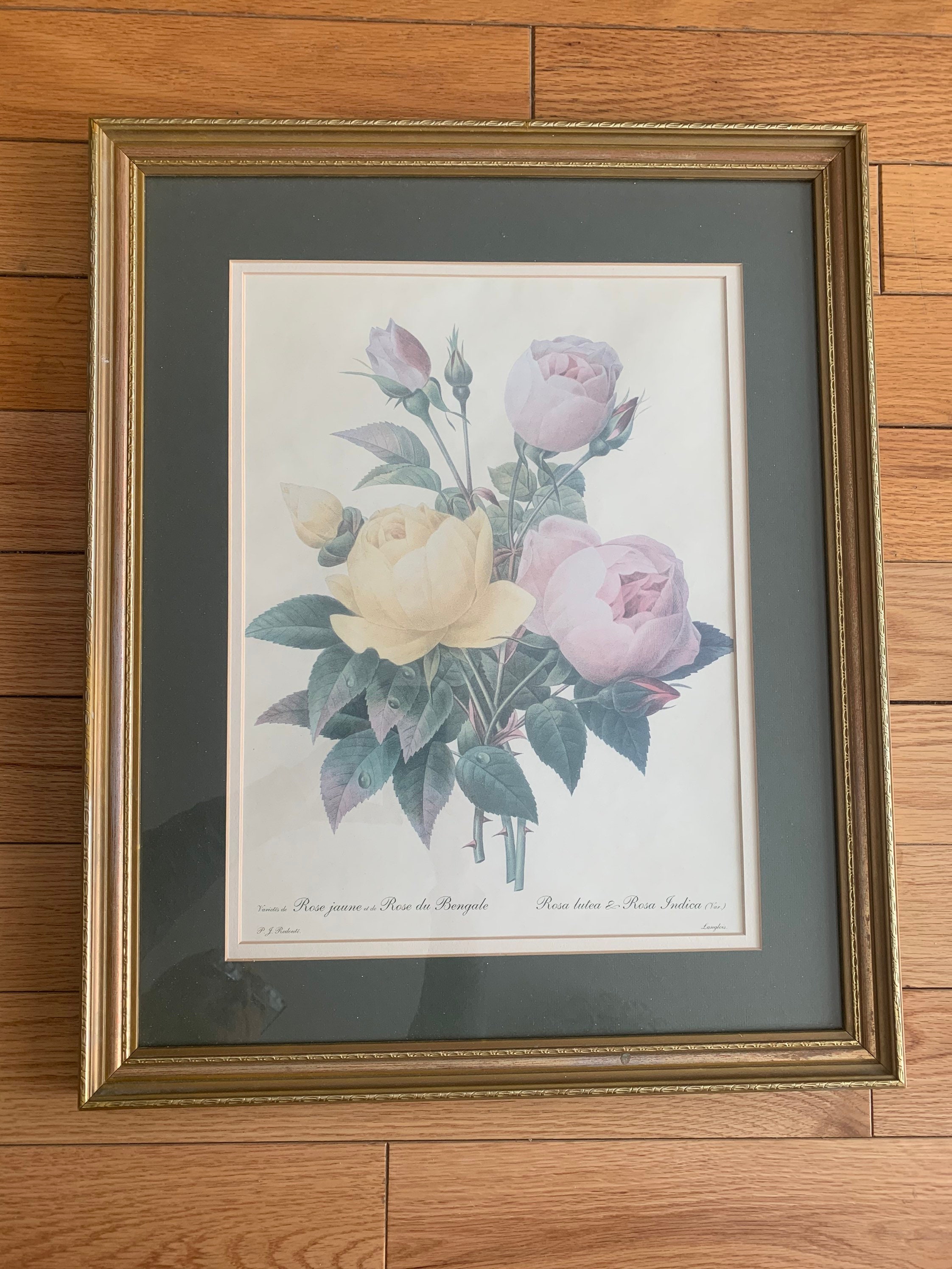 Home Décor Framed Art Framed Roses Print Wall Art Decor Illustrated by