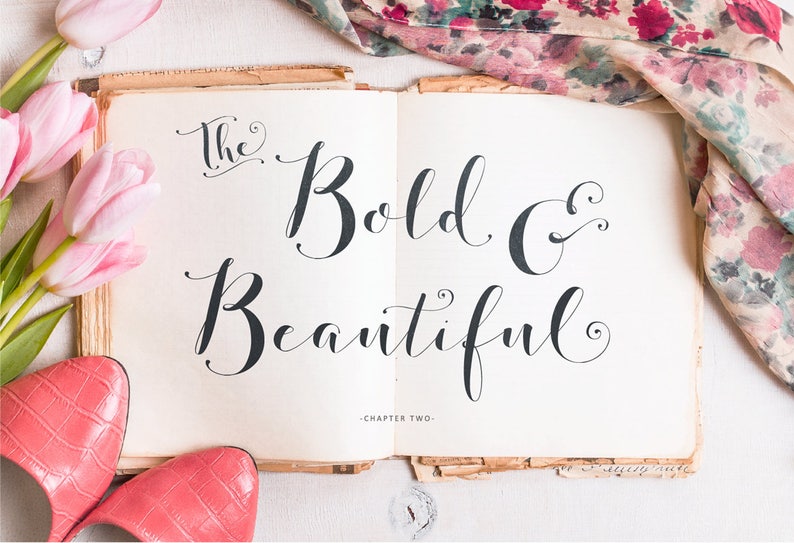 Fashionista Black Modern Calligraphy Script Font Commercial Download image 5