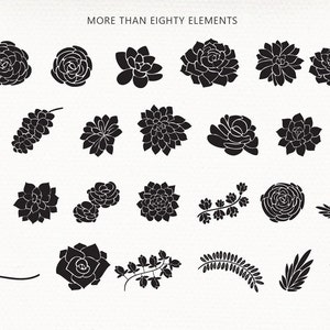 Bitterzoete BloemenElementen Bewerkbare Vector Clip art Font Download Persoonlijke Commerciële Dingbat Font afbeelding 5