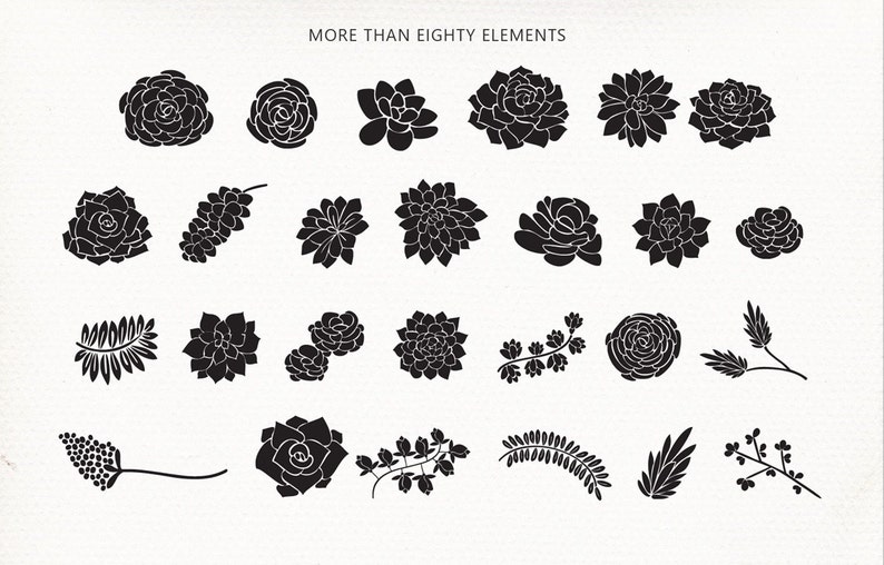 Bitterzoete BloemenElementen Bewerkbare Vector Clip art Font Download Persoonlijke Commerciële Dingbat Font afbeelding 5