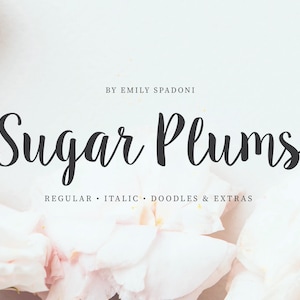 May include: A light background with the words "Sugar Plums" in a dark script font. Below the title are the words "Regular, Italic, Doodles & Extras". The text "By Emily Spadoni" is above the title. Soft pink flowers are in the background.