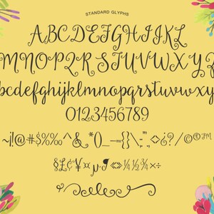 Beautiful Day Script Ornaments Hand Drawn Font Commercial Download image 2