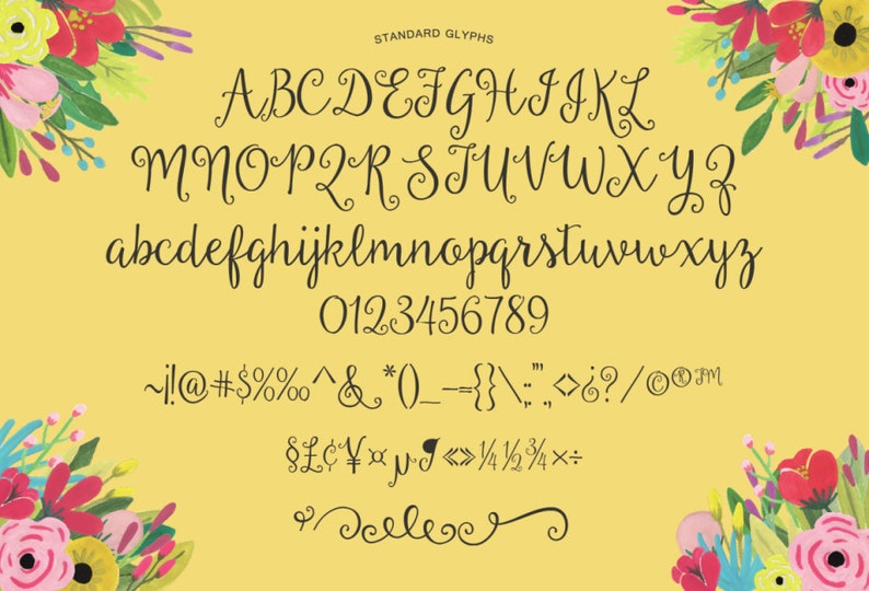 Beautiful Day Script Ornaments Hand Drawn Font Commercial Download image 2